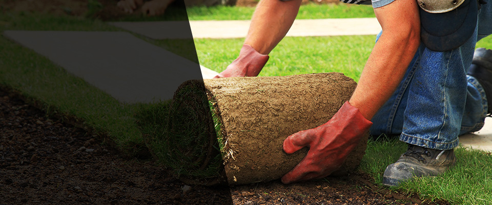 Laingsburg Landscapers